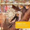 Natural Bird Cork Toy for Parrots view 2