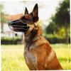 Metal Basket Dog Muzzle for Medium and Large Dogs, Breathable Adjustable Wire Muzzle to Help Prevent Biting, Barking, and Chewing, Size L view 3