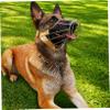 Metal Basket Dog Muzzle for Medium and Large Dogs, Breathable Adjustable Wire Muzzle to Help Prevent Biting, Barking, and Chewing, Size L view 4