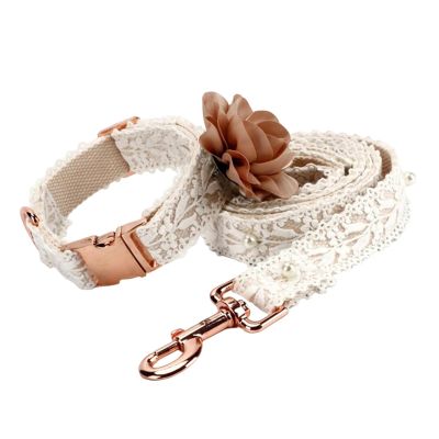 Vdaxvme Outdoor Dog Leash and Harness Set for Various Sizes