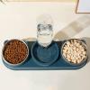 Stainless Steel Cat Bowl, Water and Food Dispenser view 3