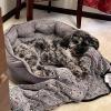 Qkbuza Cat Sofa - Soft and Warm Bed for Cats view 3