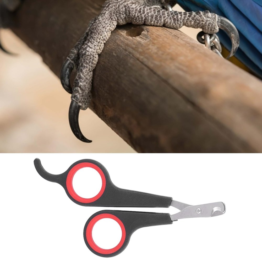 Stainless Steel Bird Nail Clipper for Parrots and Small Pets