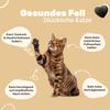 Patsli Skin & Hair | 6-in-1 Skin & Coat Complex for Cats view 3