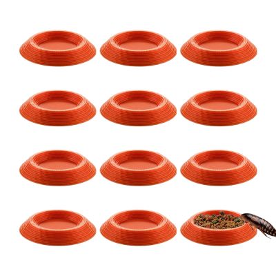 Isopod Feeding Dish | 12 Non-Slip Bowls for Small Pets