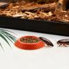 Roach Feeding Station, 12-Piece Set, Non-Slip Bowls for Cages view 3