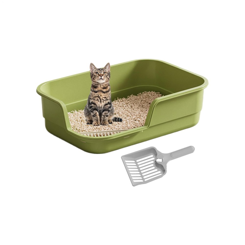 Cat Litter Box with High Sides and Low Entry
