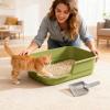 Cat Litter Box with High Sides and Low Entry view 3