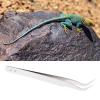 Stainless Steel Reptile Tweezers view 2