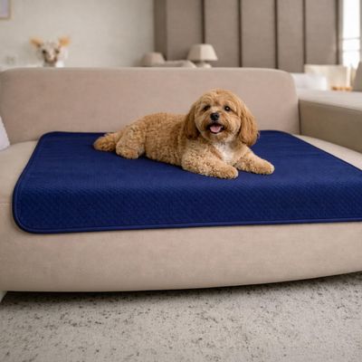 Dreamzie Waterproof Dog Blanket, 80 x 100 cm, Reversible Sherpa Fleece, Navy Blue