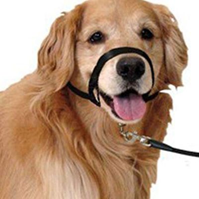 Dog Muzzle and Halter