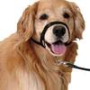 Dog Muzzle and Halter view 1