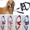Dog Muzzle and Halter view 3