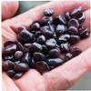 River Pebbles, 50 g, Decorative Polished Stone view 2