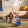 fayarrd Squeaky Dog Toy view 2