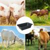 Qkbuza 10 L Durable Rubber Feed Bucket for Animals view 4