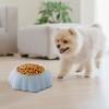 Pumpkin-Shaped Inclined Stainless Steel Pet Bowl view 2