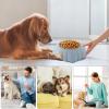 Pumpkin-Shaped Inclined Stainless Steel Pet Bowl view 4