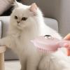 Cat Brush for Grooming - Portable Cleaning Tool view 2