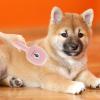 Cat Brush for Shedding, Gentle Portable Massage Tool view 2