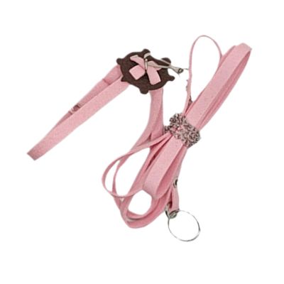 Reptile Harness with Adjustable Turtle Leash