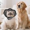 Adjustable Anti-Lick Dog Cone for Recovery view 2