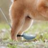 Generic Dog Urine Collection Kit with Portable Adjustable Angle Holder view 3