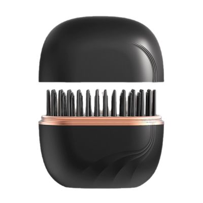 dijiusidy Portable Hair Straightening Brush, Mini Hair Straightener with 3-Level Temperature Control, Rechargeable, Black