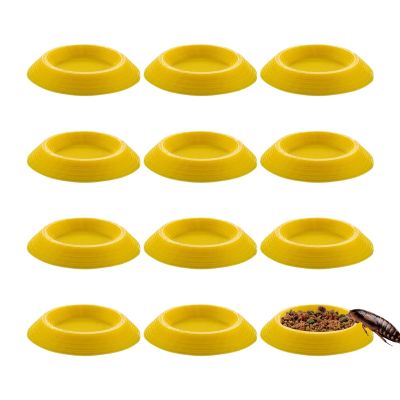 Feeding Bowl for Isopods | 12 Non-Slip Bowls for Terrariums