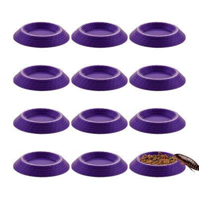 Generic Feeder for Dubia Roaches - 12 Pack