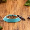 Generic Feeding Bowl for Isopods - 12 Pack view 3
