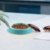 Isopod Feeder, 12 Non-Slip Feeding Bowls view 3