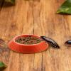 Generic Feeding Bowl for Isopods | 12 Non-Slip Bowls for Terrariums view 3