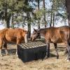 Oxford Extra-Durable Large Hay Bale Holder view 4