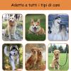 3-in-1 Dog Leash for 1, 2, or 3 Dogs, No-Tangle Swivel, Durable Nylon with Padded Handle view 3