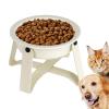 Ceramic Puzzle Slow Feeder Dog Bowl with Iron Stand view 1