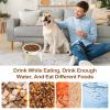 Ceramic Puzzle Slow Feeder Dog Bowl with Iron Stand view 2
