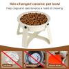 Ceramic Puzzle Slow Feeder Dog Bowl with Iron Stand view 3