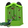 Bearded Dragon Corner Climbing Feeder view 1