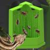Bearded Dragon Corner Climbing Feeder view 2