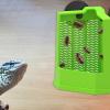 Bearded Dragon Corner Climbing Feeder view 3