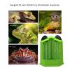 Bearded Dragon Corner Climbing Feeder view 4