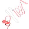 Gadpiparty Turtle Harness with Leash for Small to Medium Turtles view 1
