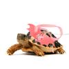 Gadpiparty Turtle Harness with Leash for Small to Medium Turtles view 4