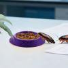 Isopod Feeding Bowl - Non-Slip Terrarium Feeder view 3