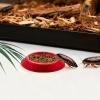 Roach Feeder - Non-Slip Feeding Bowls for Isopods and Springtails view 3