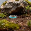 Roach Feeder - Non-Slip Terrarium Bowl for Dubia Roaches view 2