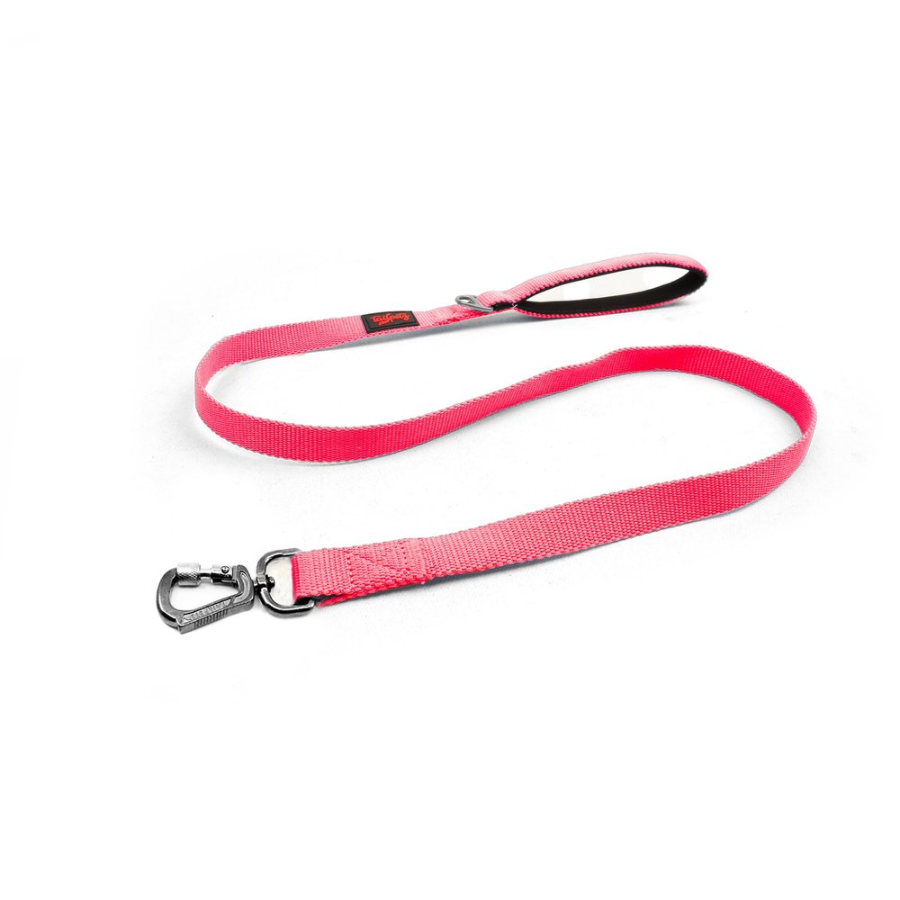 Tailpetz Basic Cat and Dog Leash, Neon Pink, Small (Length 1.5 cm x 100 cm)
