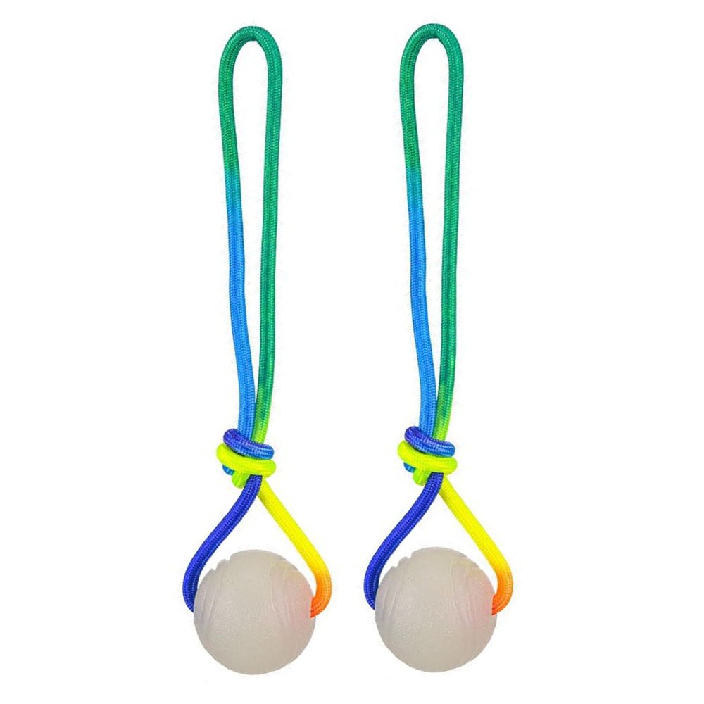 Dog Toy Balls, 2 Pieces, Interactive Tug Toy with Glow Feature