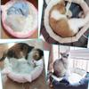 IWENZHKPA Triangle Cave Bed for Dogs and Cats, Pink, 44 x 44 cm view 4